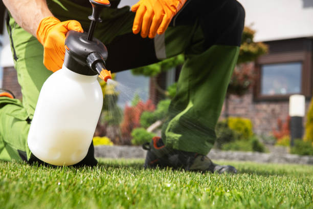 Best Pest Removal Services  in Big Lake, TX