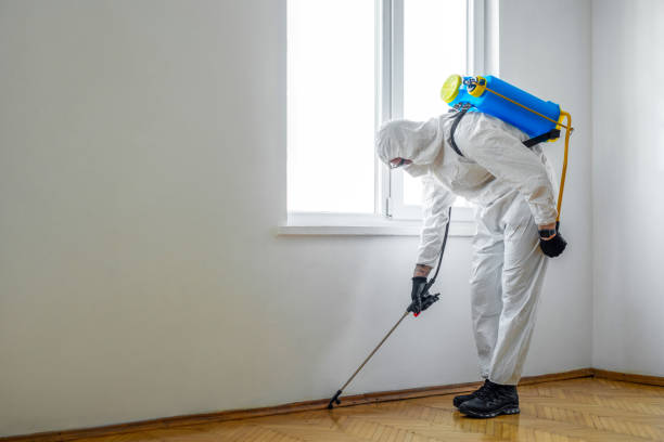 Best Mosquito Control Services  in Big Lake, TX