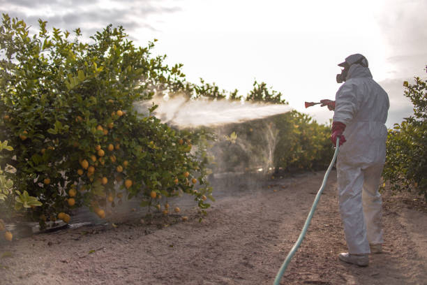 Best Pest Control Near Me  in Big Lake, TX