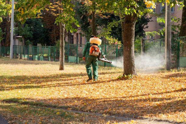 Pest Prevention Services in Big Lake, TX