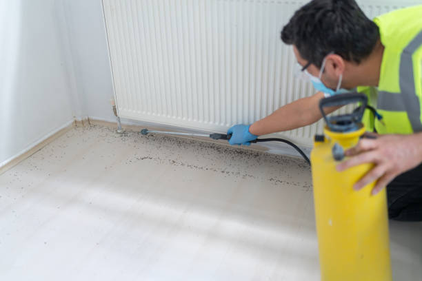 Best Residential Pest Control  in Big Lake, TX