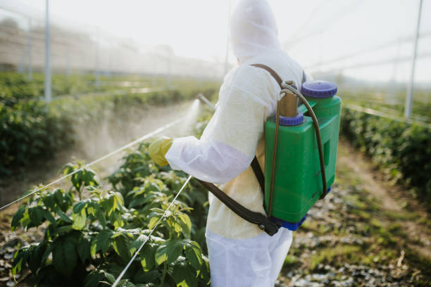 Best Insect Control  in Big Lake, TX